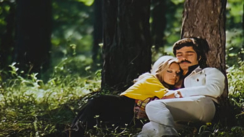Almanyalı Yarim backdrop 1