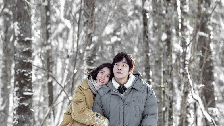 Winter Night backdrop 5