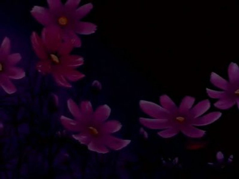 The Miracle Flower Key