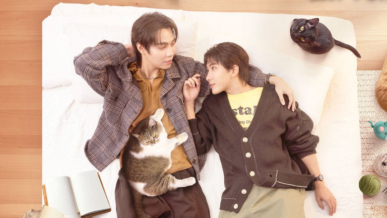 Cat for Cash backdrop 5