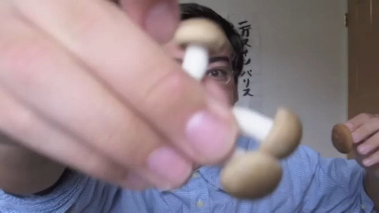 EATING POISONOUS MUSHROOMS