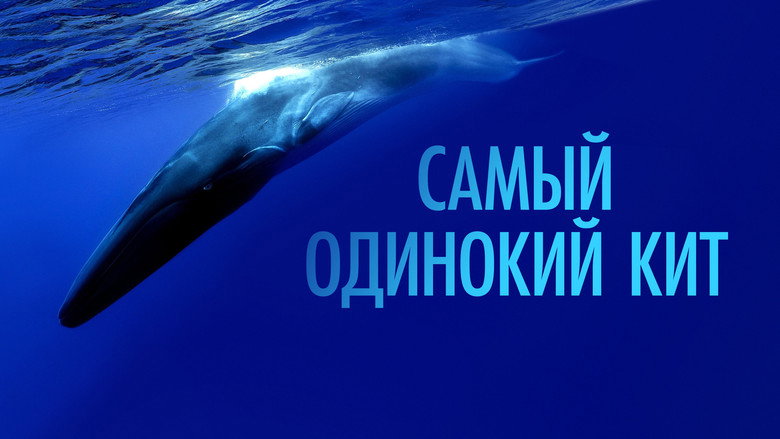 The Loneliest Whale: The Search for 52 backdrop 5