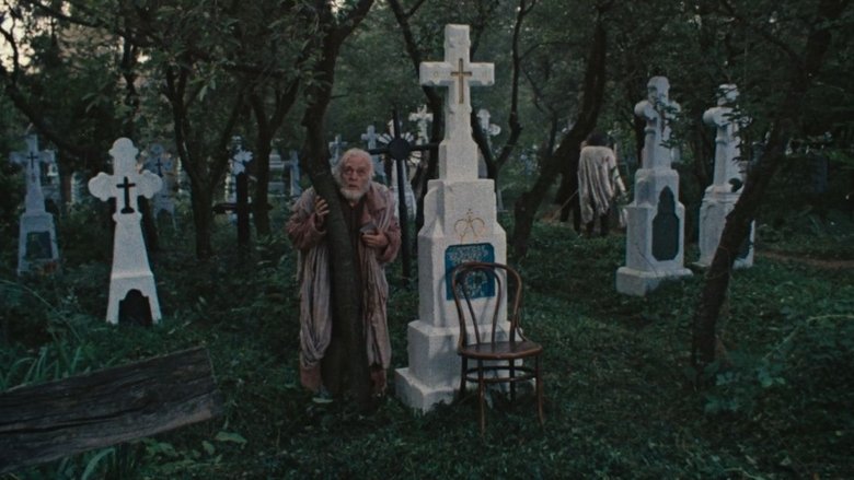 Vladimir Bogdanovsky