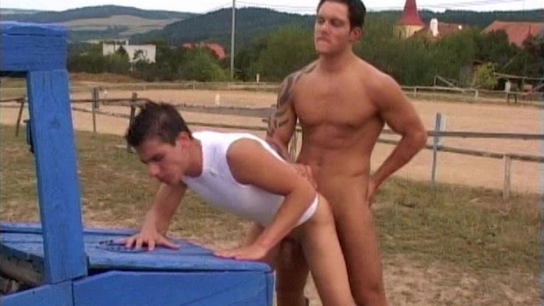 Horsing Around backdrop 3