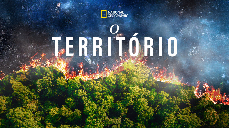 The Territory backdrop 9