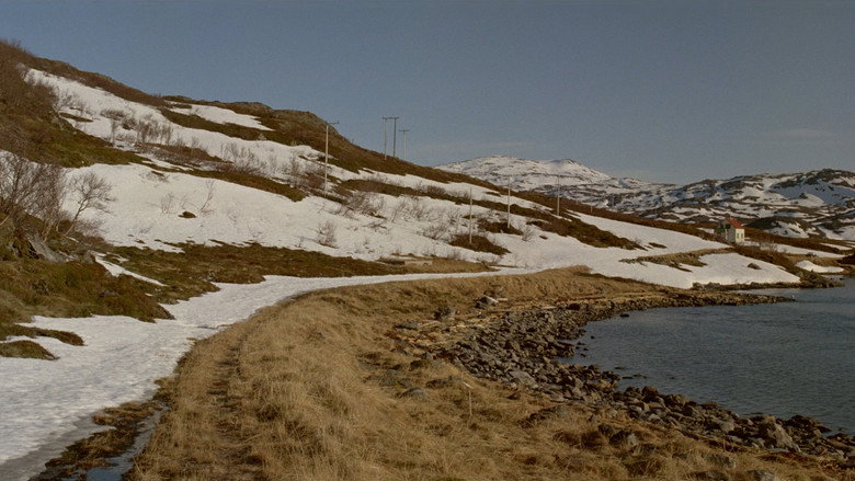 Året gjennom Børfjord線上电影看完整版