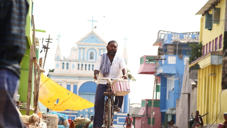 Kadugu backdrop 6
