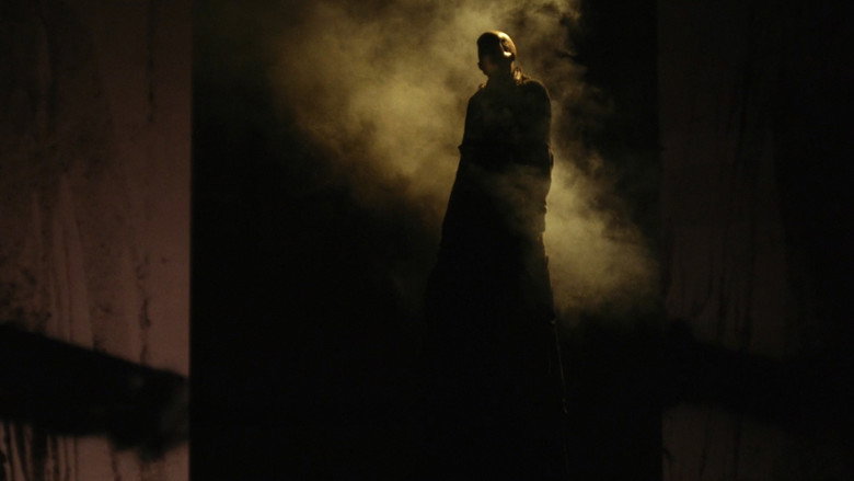 Boniato backdrop 6