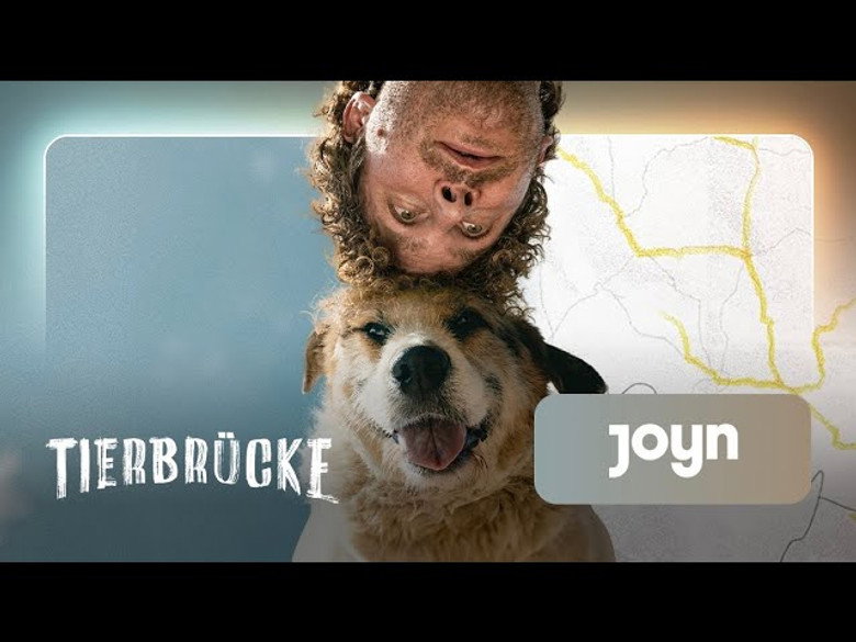 /1sNyOJXjDqLhfUYIxAuFTrWnYya.jpg