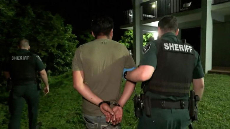 Stolen License Plates