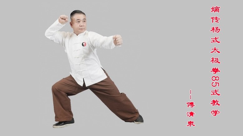 嫡传杨式太极拳