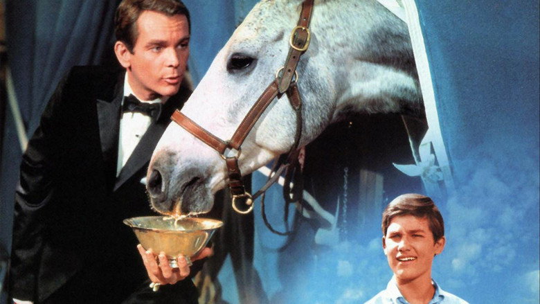 The Horse in the Gray Flannel Suit backdrop 7