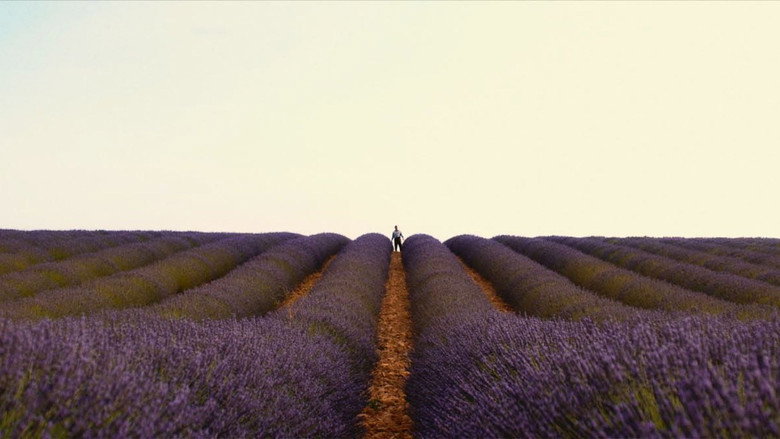 Valensole 1965 backdrop 7
