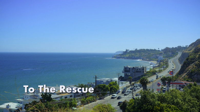 To The Rescue