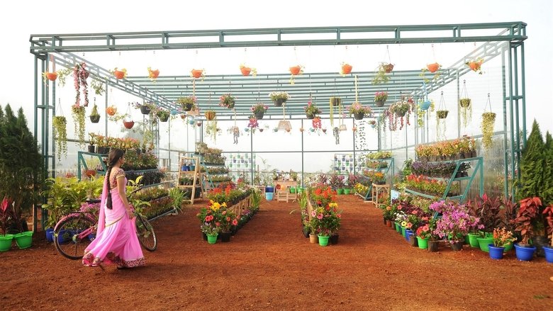 కథలో రాజకుమారి線上电影看完整版