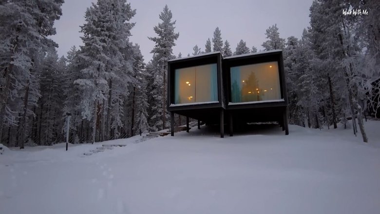 A Luxury Arctic Tree House - USA