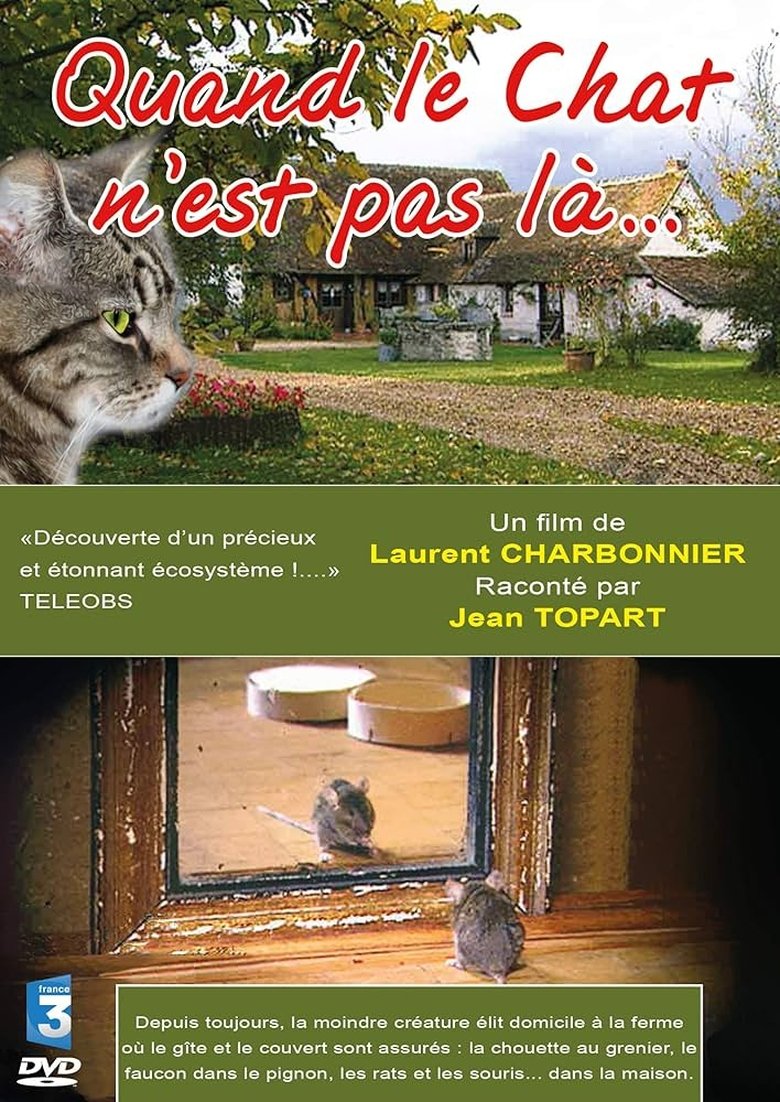 Quand le Chat n'est pas là…