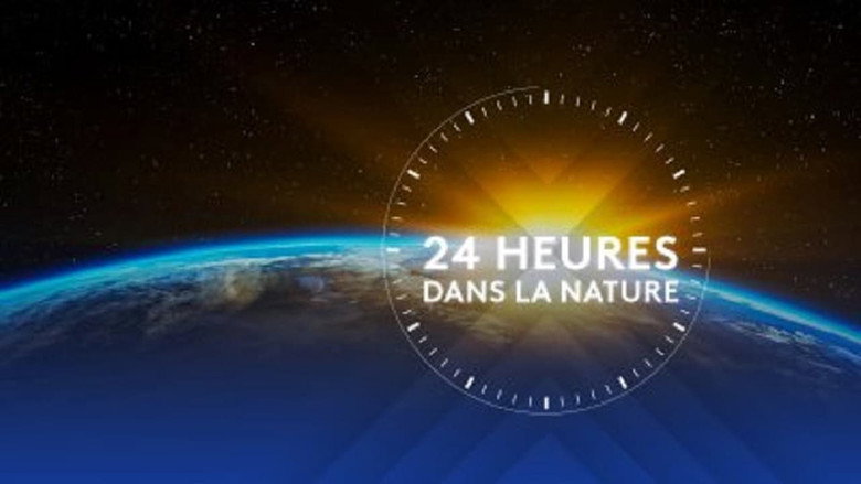 Wild 24 backdrop 4