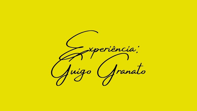 EXPERIÊNCIA (Versão Definitiva)