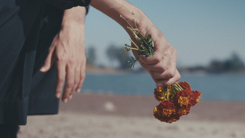 FLOWERS backdrop 3