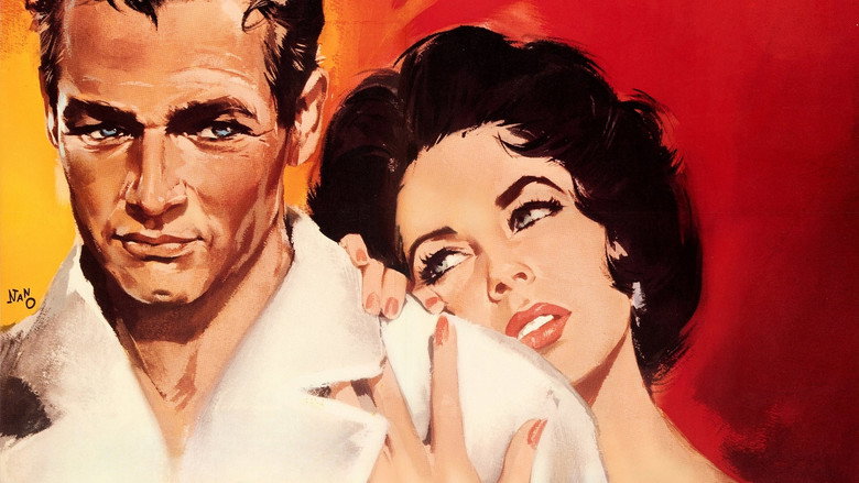 Cat on a Hot Tin Roof backdrop 4