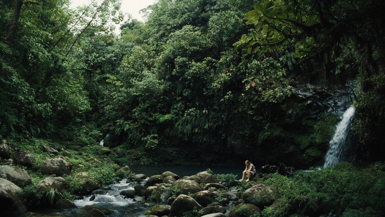 Pescador backdrop 3