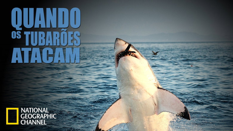When Sharks Attack backdrop 7