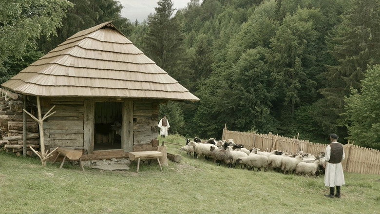 Ovčiarskou cestou backdrop 4