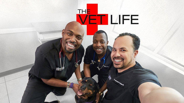 The Vet Life backdrop 3