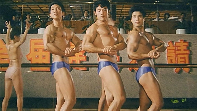 Hello! Bikini backdrop 3
