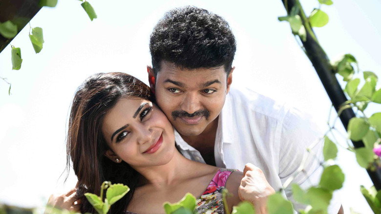 Theri backdrop 9