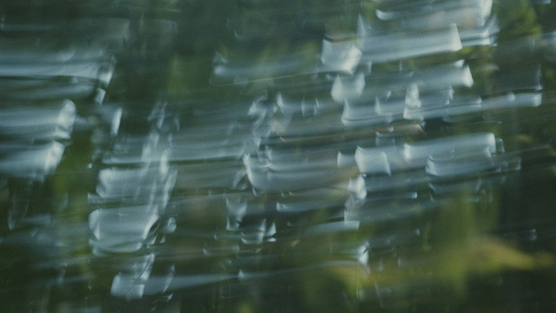 Para atrapar el viento backdrop 8