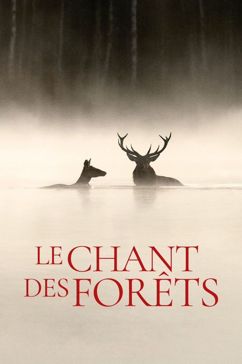 Le chant des forêts