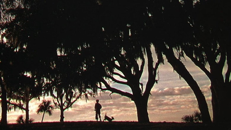 The Yearling backdrop 9