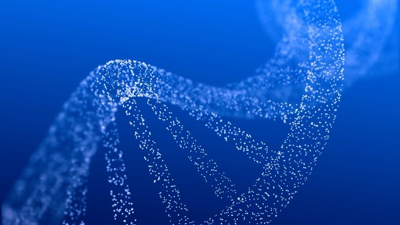 Embryo Screening: Designing Life?
