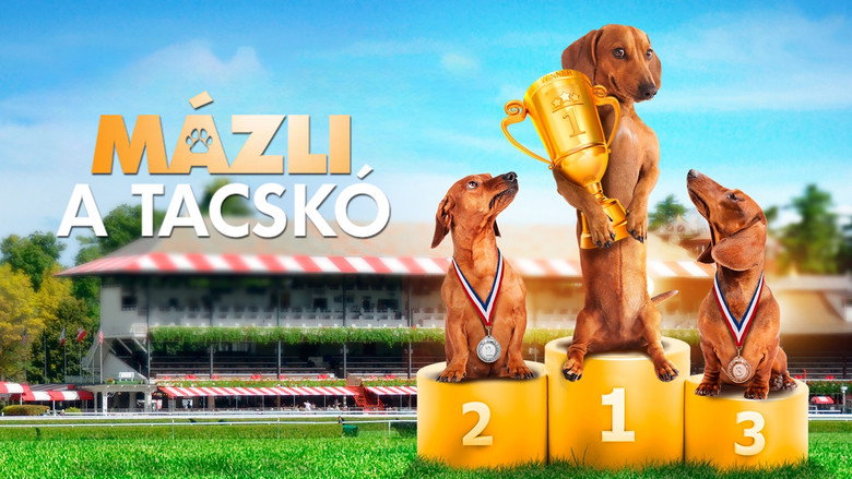 Wiener Dog Nationals backdrop 4