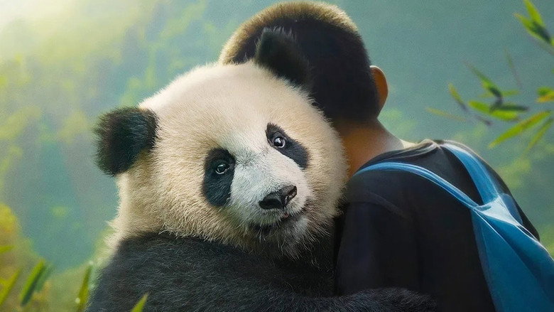 Moon the Panda backdrop 3