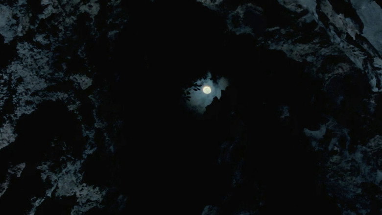 Uncle Boonmee Who Can Recall His Past Lives backdrop 6