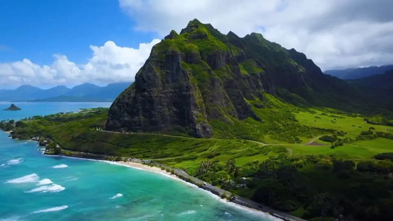 Hawaiian Island Treehouse Adventure