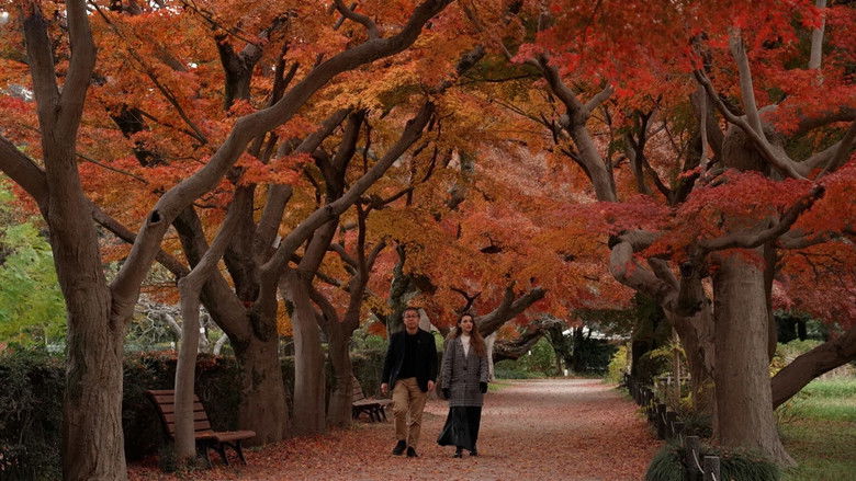 Koishikawa – Historic Charm and Industry Nurtured by Water