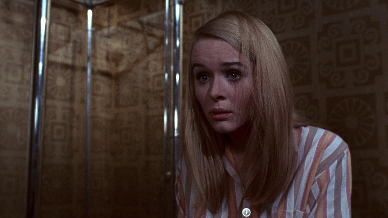 Hoffman backdrop 5