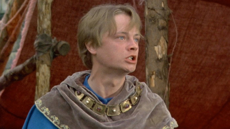 Robin of Sherwood: Robin Hood and the Sorcerer backdrop 7