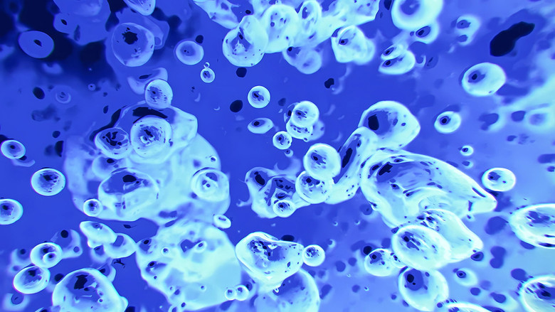 The Best Of Liquid Television