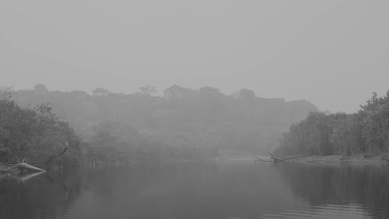 Como Matar um Rio backdrop 7