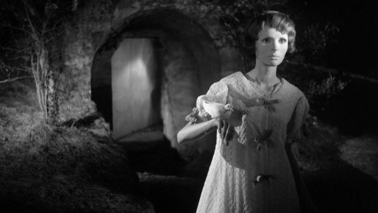 Eyes Without a Face backdrop 4