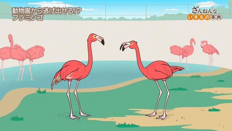 Episode 21