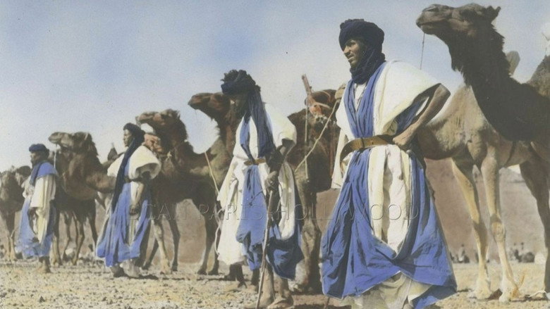 Alarm in Morocco backdrop 1