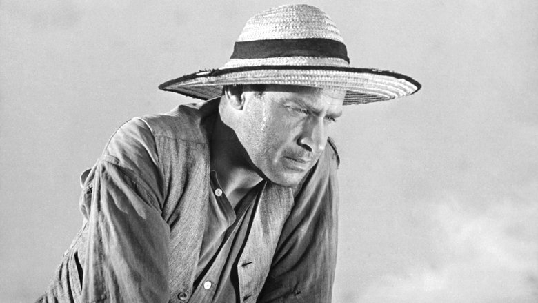 Willy Goldberger