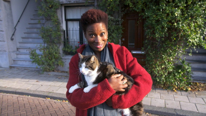 Kitty Love: An Homage to Cats backdrop 5