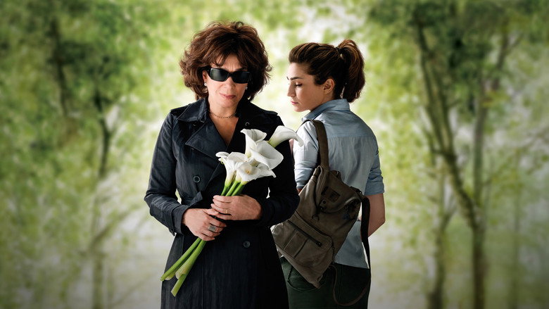 Widows backdrop 4